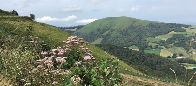 Rolling hills and verdant valleys in Limousin area, France