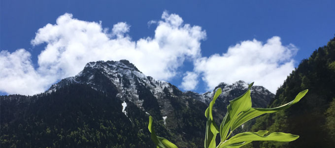 The fabulous Pyrenees