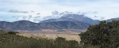 Spanish panorama